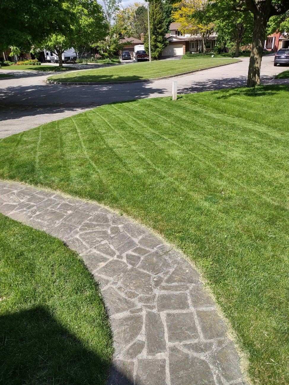 Lawn transformation